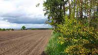 Riethoven - Westerhoven 11 km nr 7