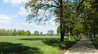 Neerpelt 6