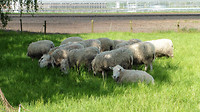 Waterschap Soerendonk 2