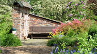 Bloemen en Bijentuin Cranendonck 3