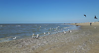 Noordwijk aan Zee 8