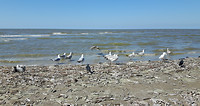 Noordwijk aan Zee 9