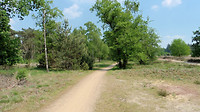 LEENDERBOS 4