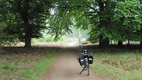 Bijen en Bloementuin 1