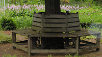 Bijen en Bloementuin 4