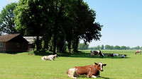 Boevenheuvel fietsroute 3