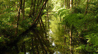 Rondje Maarheeze