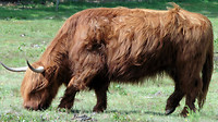 Rondje Maarheeze 2