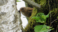 Leenderbos...2