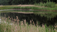 Leenderbos...3