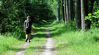 Vennen wandeling  ( De Vest ) 15 km 2