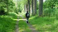 Vennen wandeling  ( De Vest ) 15 km 3