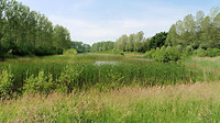 Vennen wandeling  ( De Vest ) 15 km 4