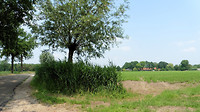 westerhoven 1