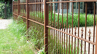 westerhoven 8