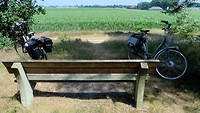 grote heide 27-06-2018..3