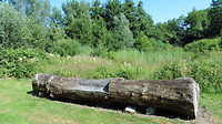 Natuurtuin t'Loo....3