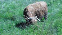 Grote Heide Geldrop 3