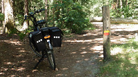 Grote Heide Geldrop 4