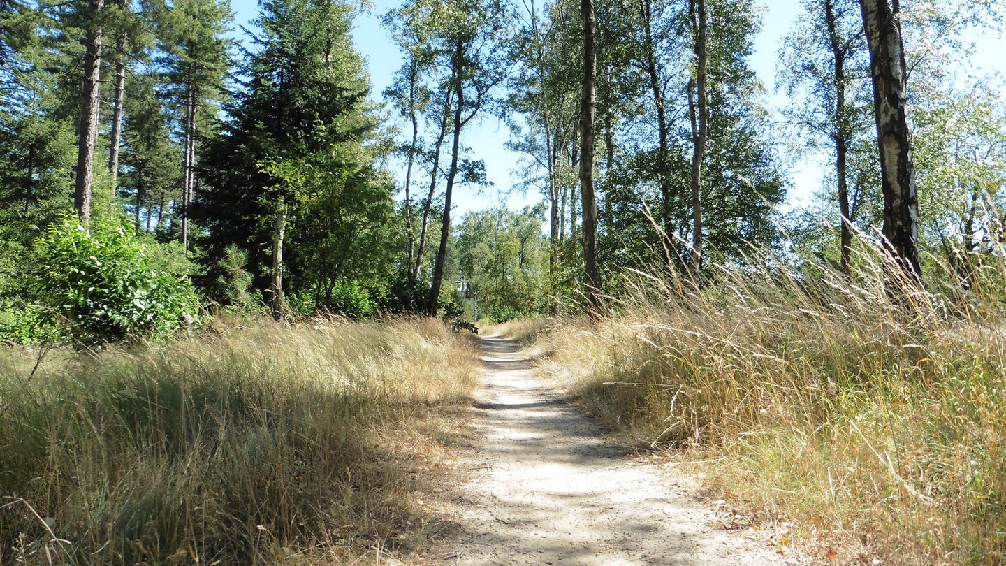Grote Heide Geldrop  5