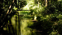 leenderbos 1