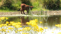 leenderbos 6