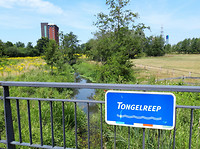 eindhoven 3