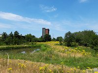 eindhoven 6