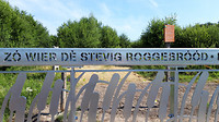 boevenheuvel 4