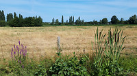 boevenheuvel 7