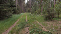 Strabrechtse heide 10-07-2018 ..2