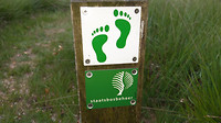 Strabrechtse heide 10-07-2018 ..6