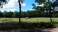 grote heide 1