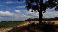 grote heide 4