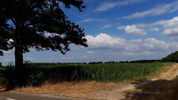 grote heide 5