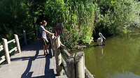 Blijdorp 2018...4