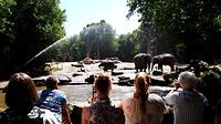 Blijdorp 2018...8