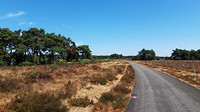 Heeze - Achelse-Kluis..5