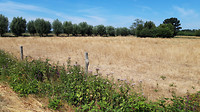 Boevenheuvel   2