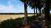 Boevenheuvel   6