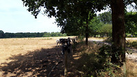 Lierop - Someren  1