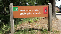 Lierop - Someren 2