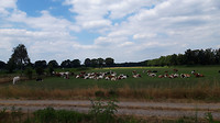 Lierop - Someren 8