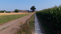 riethoven wandelen...2