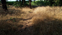 riethoven wandelen...5