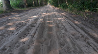 riethoven wandelen...6