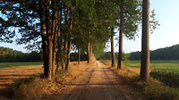waalre...1