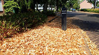 leenderbos.....8
