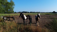 Lommel - Neerpelt 5