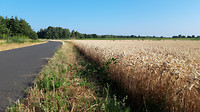 Lommel - Neerpelt 6